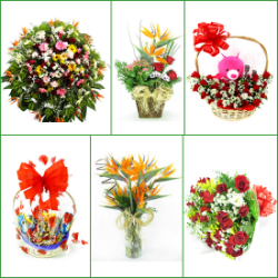 FLORICULTURAS Belo Vale, cestas de café da manhã e coroas de flores